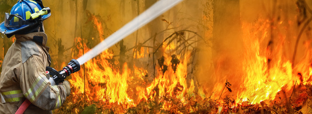 Buschbrände in Australien, das Feuer wird durch Wind und Hitze angeheizt. - Foto, Bild