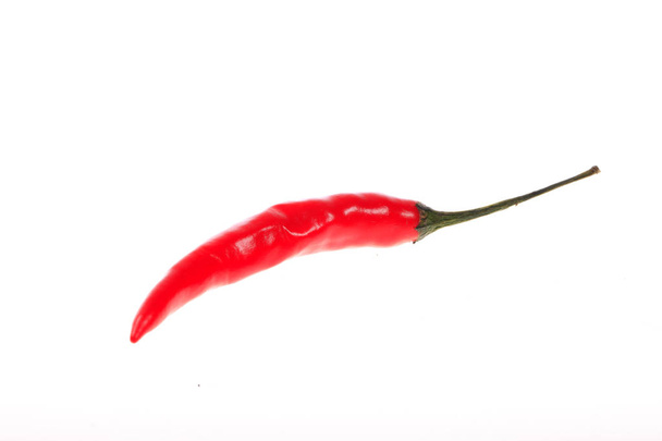 Rode hete chili pepers geïsoleerd op witte achtergrond - Foto, afbeelding