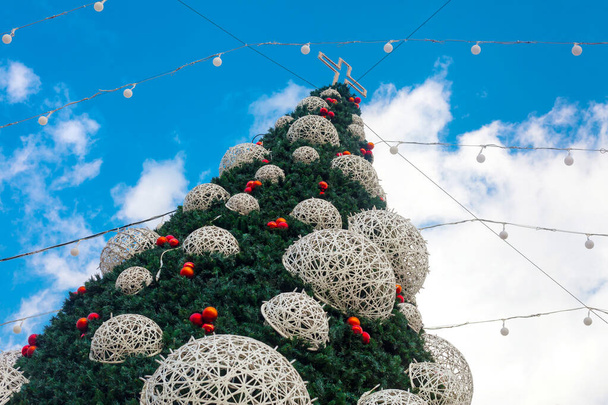 Large Christmas tree outdoors - 写真・画像