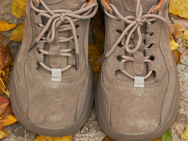 Un paio di scarpe grigie alla moda si trovano sul sentiero del Parco tra le foglie secche
. - Foto, immagini