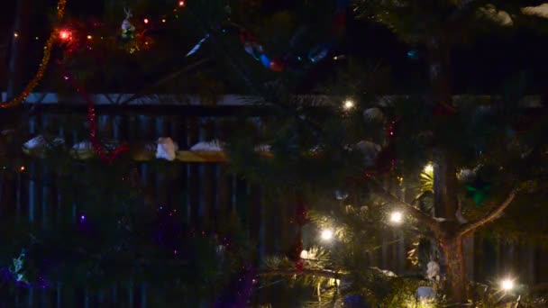 Heldere lichten bloemenslingers veelkleurig licht knipperend in de donkere kerstavond op een feestelijke dennenboom met fonkelende dennennaalden op straat in de sneeuw bij het hek. Bokeh. - Video