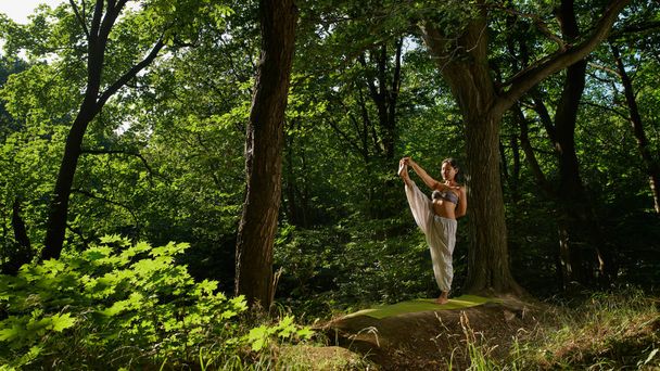 Young asian woman doing yoga in the forest - Fotoğraf, Görsel