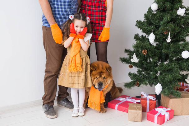 Pet, holidays and festive concept - Close-up of Family with dog are standing near christmas tree. - Photo, image