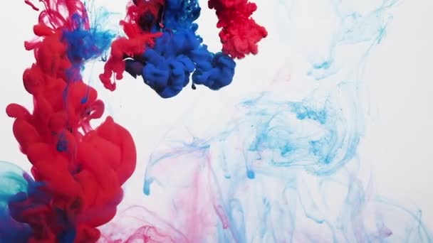 paint drops water navy blue red ink blend motion - Footage, Video