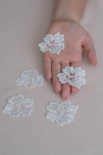 Texture flowers lace fabric. decir flowers on white background studio. thin fabric made of yarn or thread. a background image of ivory-colored lace flowers forcloth. White flowers on beige background. - 写真・画像