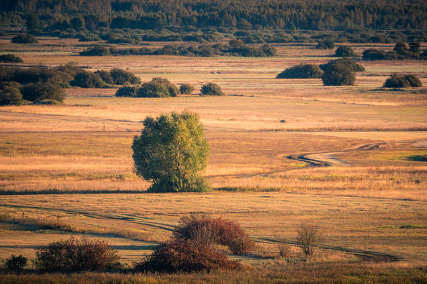 Вид на поля й луки на бескиди Бібризи в Гоніадзі., - Фото, зображення