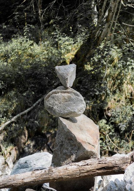 Каменная куча и дерево в лесу
 - Фото, изображение