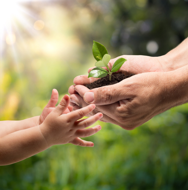 Hands of a child taking a plant from the hands of a man - grass background - Photo, Image