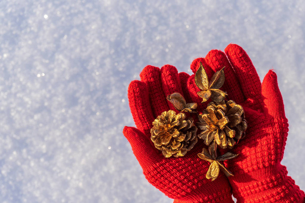 Golden pine cones and decorative new year items in human hands with open palms wearing red knitted gloves. Merry Christmas and winter holidays concept. Greeting card with copy space - Фото, изображение