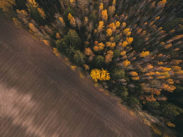 Campos de vista aérea y bosques en el día de otoño
. - Foto, Imagen