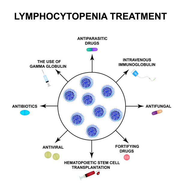 Tratamiento de la linfocitopenia. Disminución de linfocitos en la sangre. Infografías. Ilustración vectorial sobre fondo aislado
. - Vector, imagen
