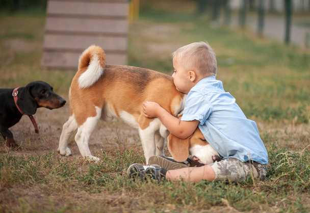Het dagelijks leven van een kind met een handicap. Een jongen met het syndroom van Down speelt met honden. Chromosomale en genetische stoornis bij de baby. - Foto, afbeelding