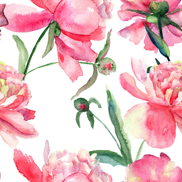 Beautiful Peonies flowers, Watercolor painting - Valokuva, kuva