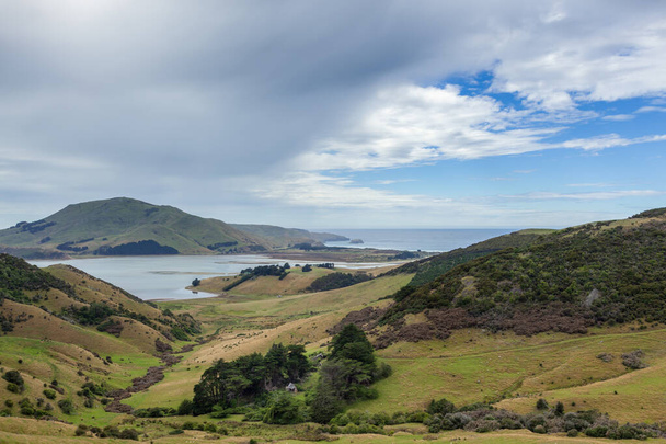 The Otago Peninsula New Zealand - Zdjęcie, obraz