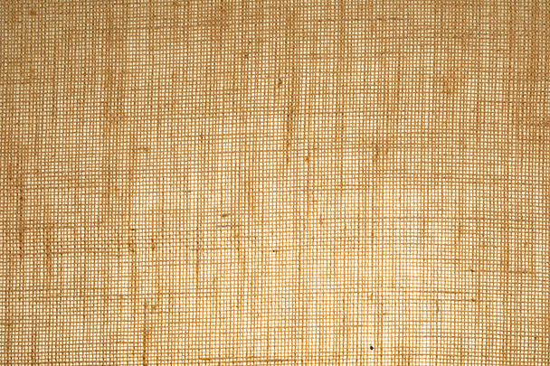 Vertical sack texture (translucent) with visible fibers. - Photo, Image