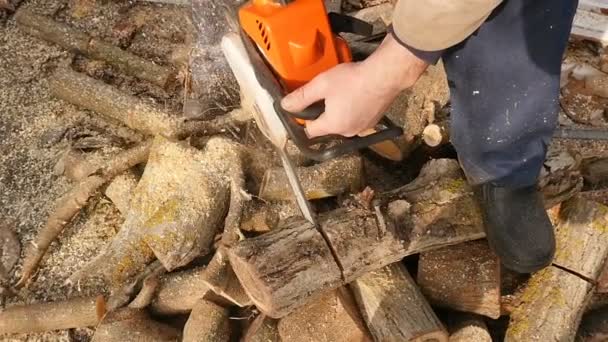 Ein erwachsener und professioneller Holzfäller schneidet mit der Kettensäge einen Baum. Ländlich. Zeitlupe - Filmmaterial, Video