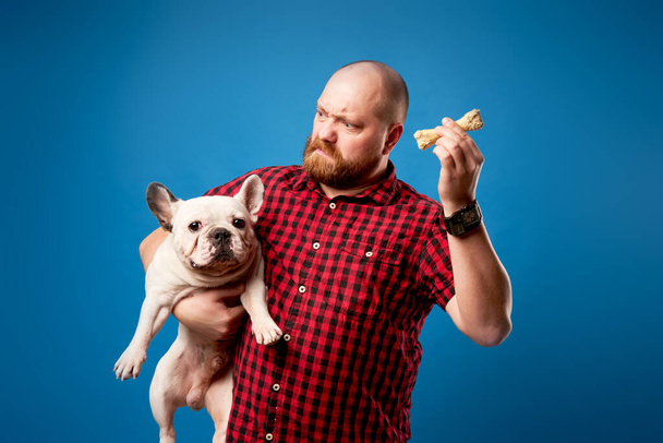 Male in shirt holds bulldog and bone on empty blue background - Foto, Imagen