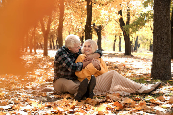Loving mature couple in autumn park - Photo, Image