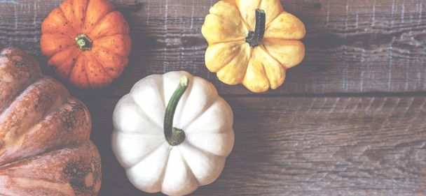 Organic food. Autumn pumpkin on a dark rustic wooden table. Healthy vegetarian food. Top view. - Foto, immagini