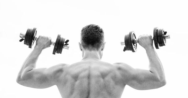 fit your body and lose weight. Muscular back man exercising in morning with barbell. athletic body. Dumbbell gym. fitness and sport. Mind and body in harmony. man sportsman weightlifting. steroids - Foto, Bild
