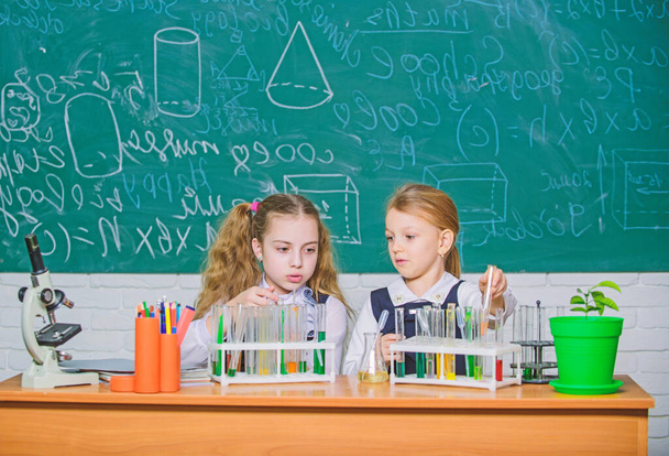 Girls on school chemistry lesson. School laboratory partners. Kids busy with experiment. Test tubes with colorful substances. Chemical analysis and observing reaction. School equipment for laboratory - Foto, Imagem