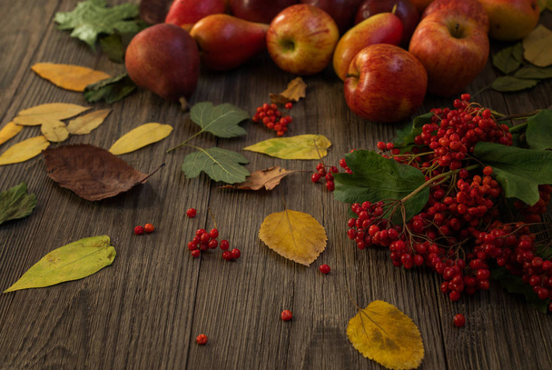 Harvest of red apples, autumn leaves and red berries on old boards. Autumn background. - Foto, Imagem
