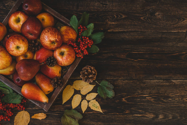 Red apples in farmhouse style wooden crate. Autumn falling leaves and fruits on dark wooden board. Copy space for text. Toned image. Selective focus. - Foto, immagini