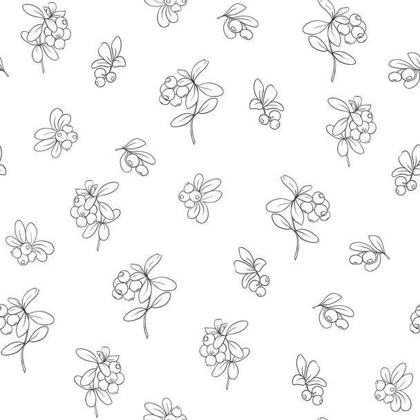 Cranberry. Seamless pattern - Вектор, зображення