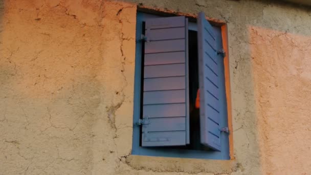 kobieta macha przez okno - Materiał filmowy, wideo