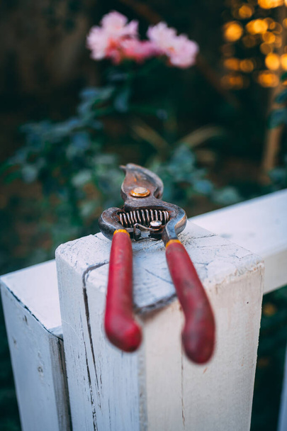 Садовые ножницы на деревянном заборе
. - Фото, изображение