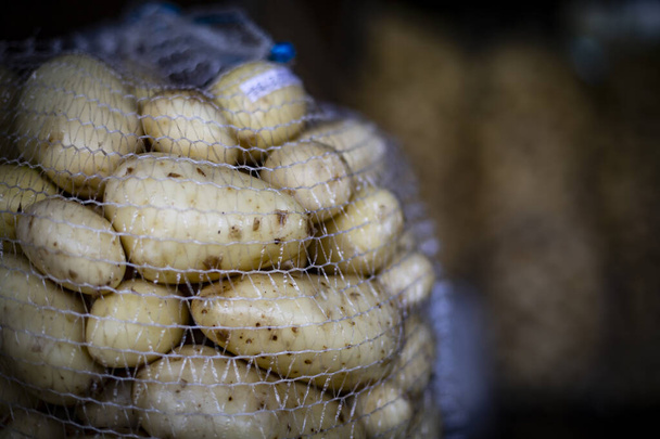 Freshly harvested and washed potatoes in a big net bag in a warehouse. Potatoes storage.  - Фото, изображение