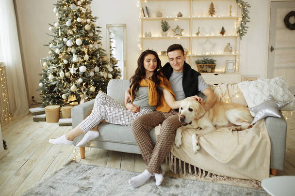 happy couple is sitting on sofa with dog, christmas. new year at home. family and date - Foto, Imagen