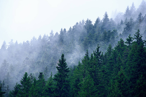 Туманный горный ландшафт - Фото, изображение