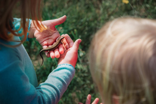 дети изучают природу - дети держат и исследуют ящерицу
 - Фото, изображение