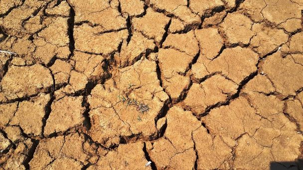 seca destrutiva sede falta de ecologia da água
 - Foto, Imagem
