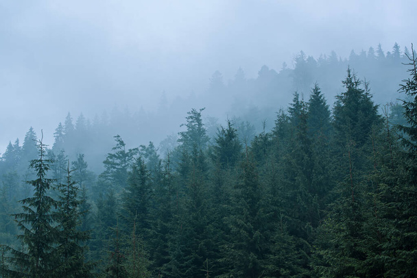 Misty mountain landscape - Foto, imagen