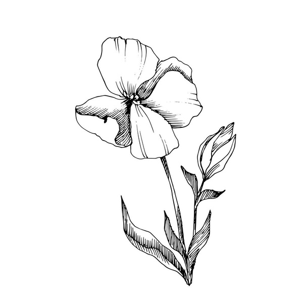 Vecteur Fleurs botaniques florales de lin. Encre gravée en noir et blanc. Élément d'illustration isolé en lin
. - Vecteur, image