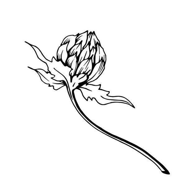 Векторные травяные цветочные листья. Черно-белый рисунок чернил. Изолированный травяной иллюстрационный элемент
. - Вектор,изображение