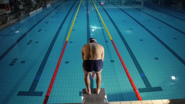 AERIAL: professional swimmer - Footage, Video