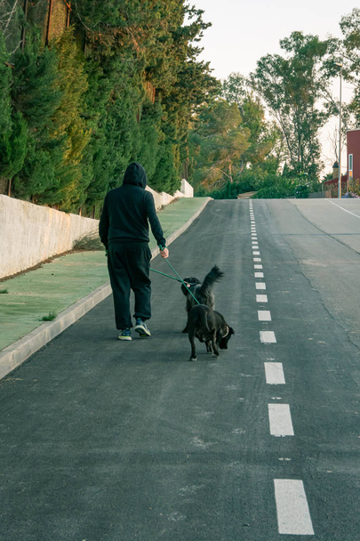 Hombre con capucha negra pasea a sus perros por el camino
 - Foto, Imagen