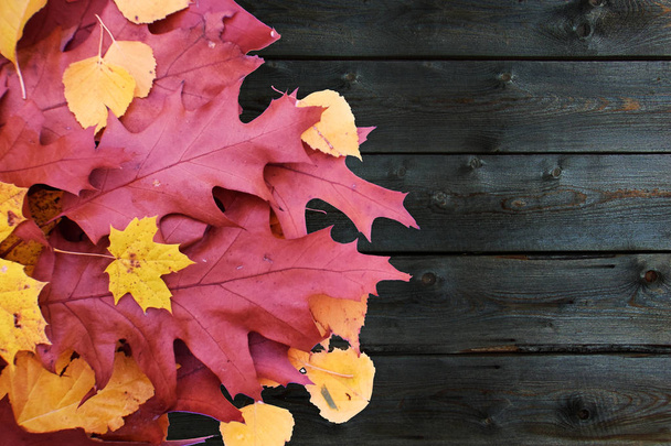 pěkné grafické pozadí s podzimními listy - Fotografie, Obrázek