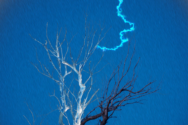 Ein Blitz schlägt während des heftigen Regens und des Hurrikans in den Baum in der Wüste ein - Foto, Bild