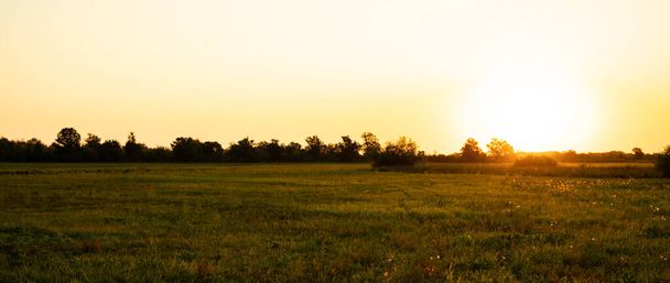идиллическое летнее поле с травяной панорамой, природный ландшафт на закате
 - Фото, изображение