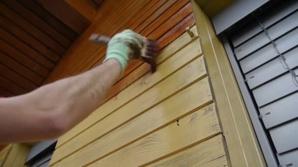 Pittura casa di legno
 - Filmati, video