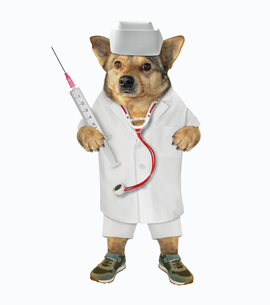 Dog vet with syringe and stethoscope - Фото, зображення