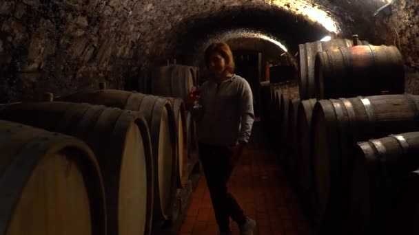 Een vrouw houdt van een glas wijn in haar hand - Video