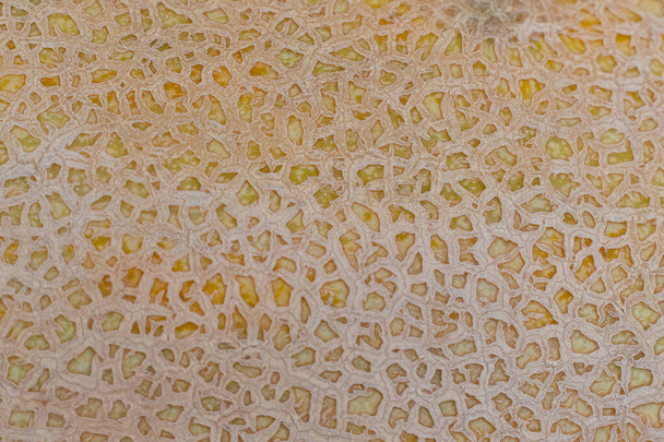 Egy közeli fehér torpedó dinnye gyümölcs textúra háttér modell. - Fotó, kép