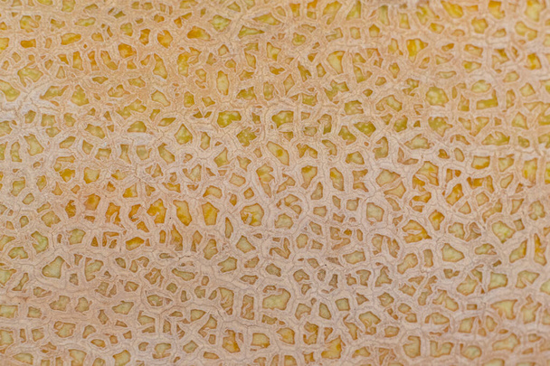 Egy közeli fehér torpedó dinnye gyümölcs textúra háttér modell. - Fotó, kép