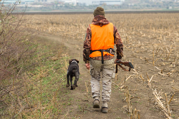 Un uomo con una pistola in mano e un giubbotto arancione a caccia di fagiani in una zona boscosa con tempo nuvoloso. Cacciatore con cani in cerca di gioco. - Foto, immagini