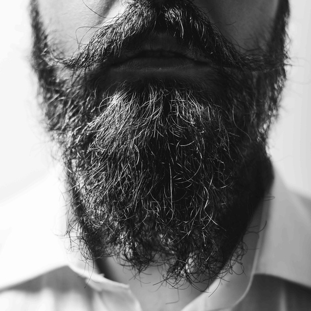 Close up of long beard and mustache - Photo, Image